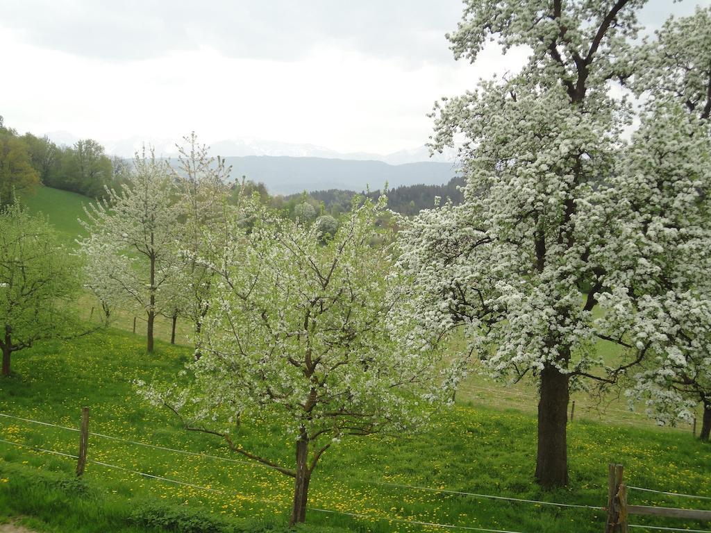 Apartmán Kollehof Krumpendorf Exteriér fotografie