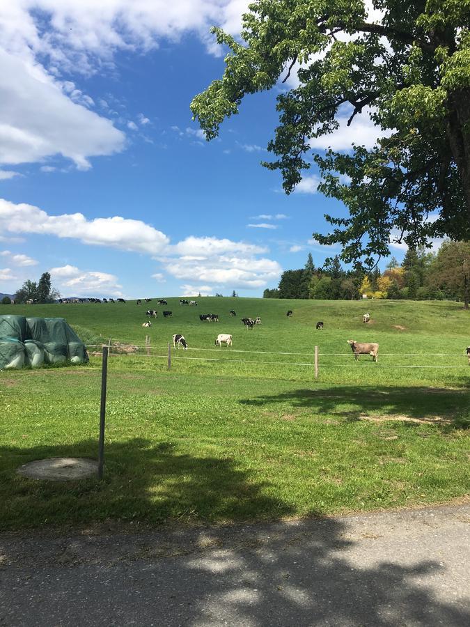 Apartmán Kollehof Krumpendorf Exteriér fotografie